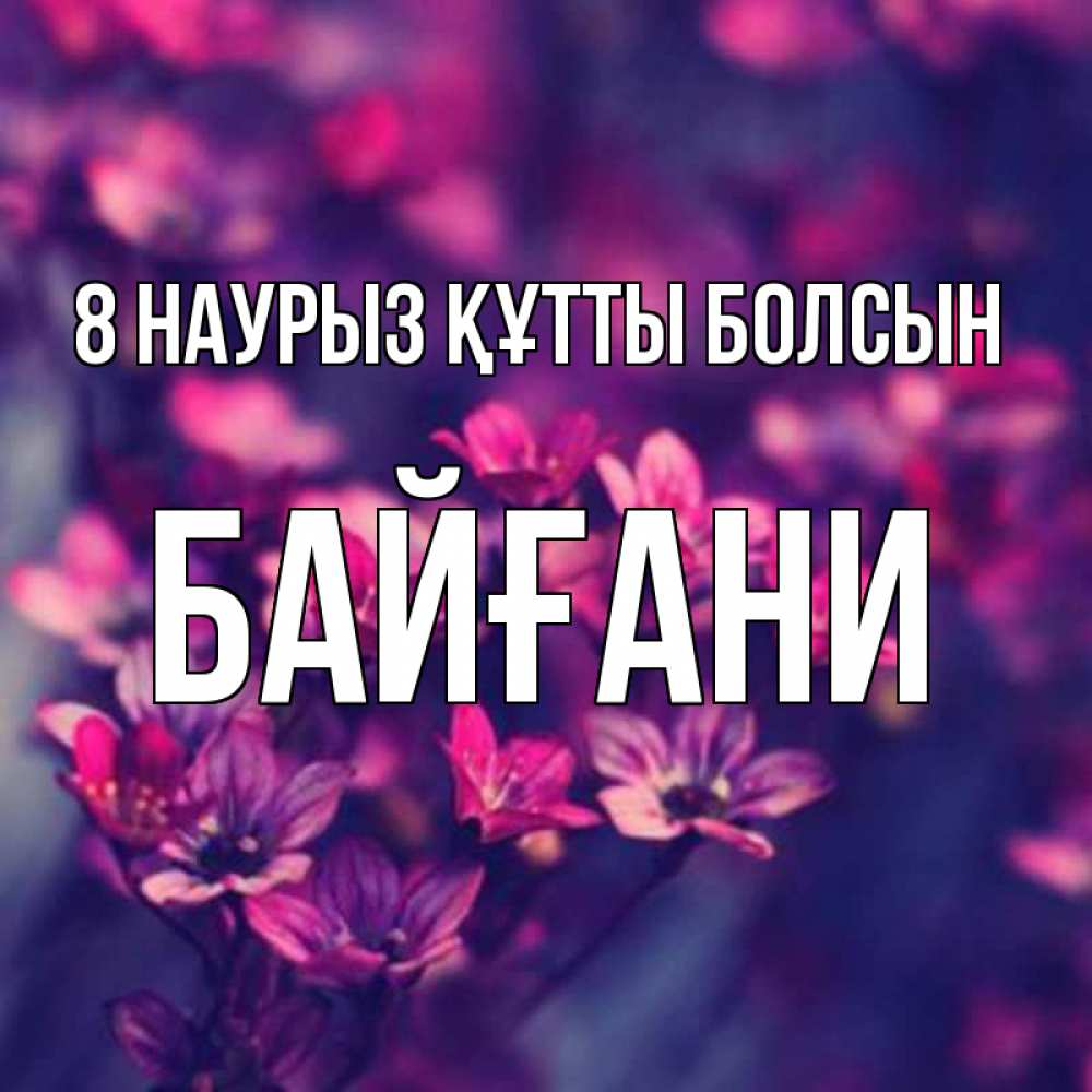 Күн сайын ашық хат с именем, Байғани 8 наурыз құтты болсын небольшие цветы 1 Онлайн тегін жүктеп алу тілектері бар керемет карта 