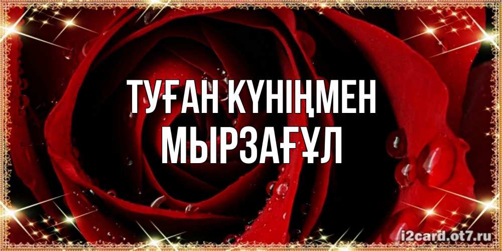 Күн сайын ашық хат с именем, Мырзағұл Туған күніңмен цветок в росе на день рождения Онлайн тегін жүктеп алу тілектері бар керемет карта 