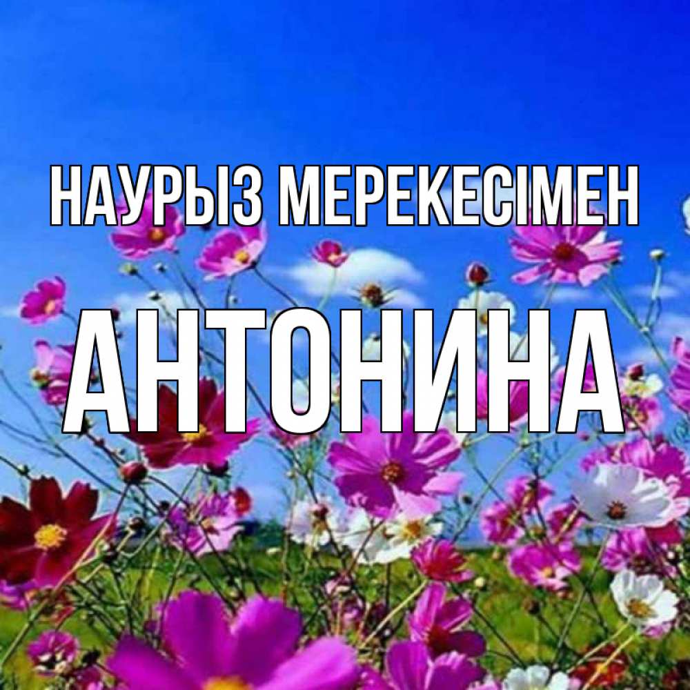 Күн сайын ашық хат с именем, Антонина Наурыз мерекесімен цветы Онлайн тегін жүктеп алу тілектері бар керемет карта 