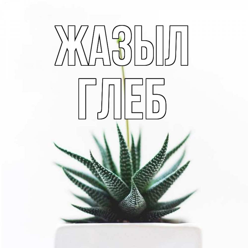 Күн сайын ашық хат с именем, Глеб Жазыл короче это непонятная колючка Онлайн тегін жүктеп алу тілектері бар керемет карта 