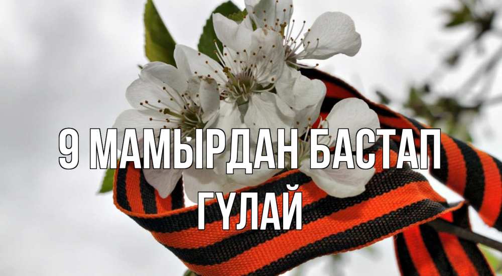 Күн сайын ашық хат с именем, ГҮЛАЙ 9 мамырдан бастап 9 мая Онлайн тегін жүктеп алу тілектері бар керемет карта 