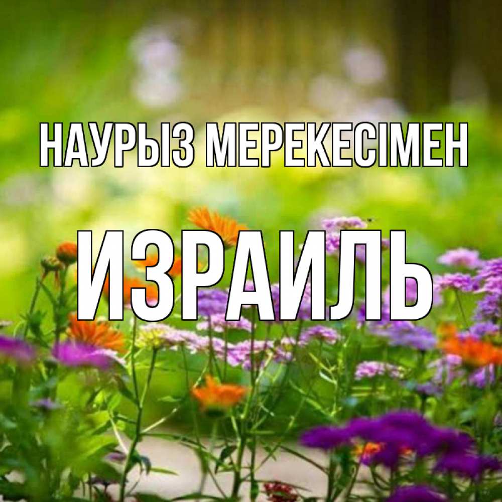 Күн сайын ашық хат с именем, Израиль Наурыз мерекесімен цветы Онлайн тегін жүктеп алу тілектері бар керемет карта 