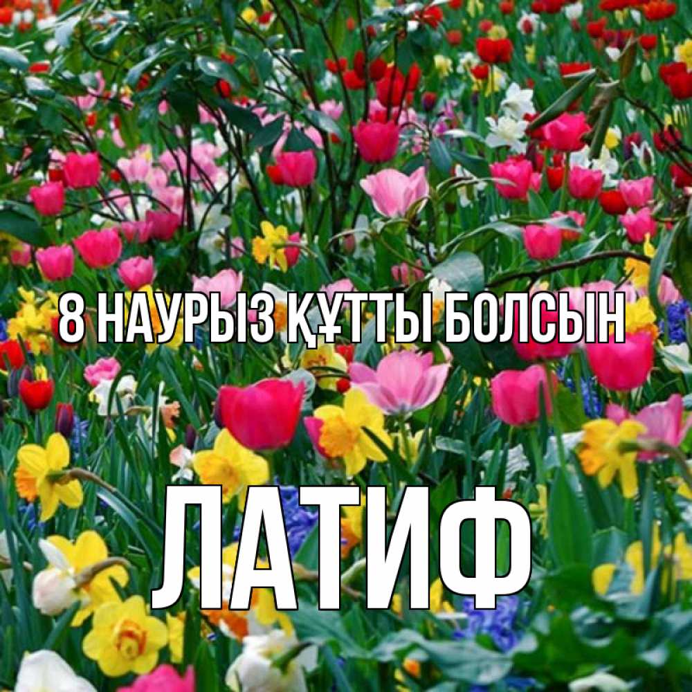 Күн сайын ашық хат с именем, ЛАТИФ 8 наурыз құтты болсын с международным женским днем поздравления для женщины Онлайн тегін жүктеп алу тілектері бар керемет карта 