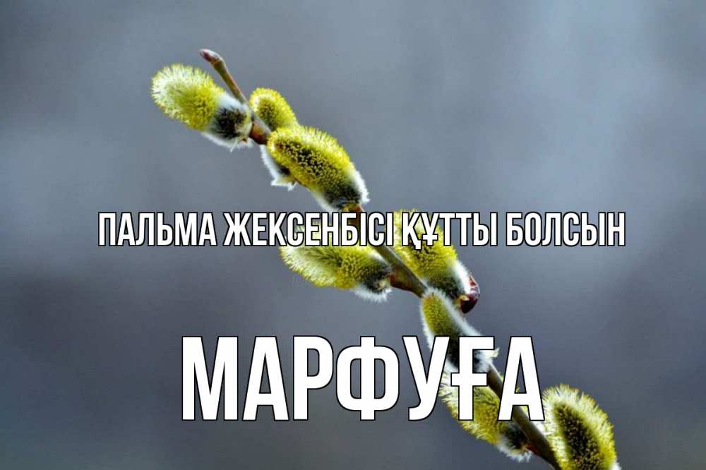 Күн сайын ашық хат с именем, МАРФУҒА Пальма жексенбісі құтты болсын верба Онлайн тегін жүктеп алу тілектері бар керемет карта 