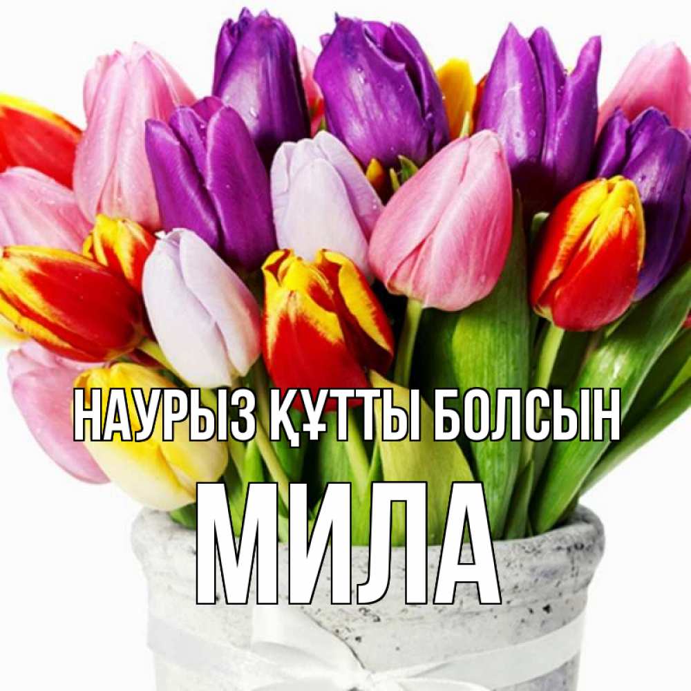 Күн сайын ашық хат с именем, Мила Наурыз құтты болсын букет Онлайн тегін жүктеп алу тілектері бар керемет карта 
