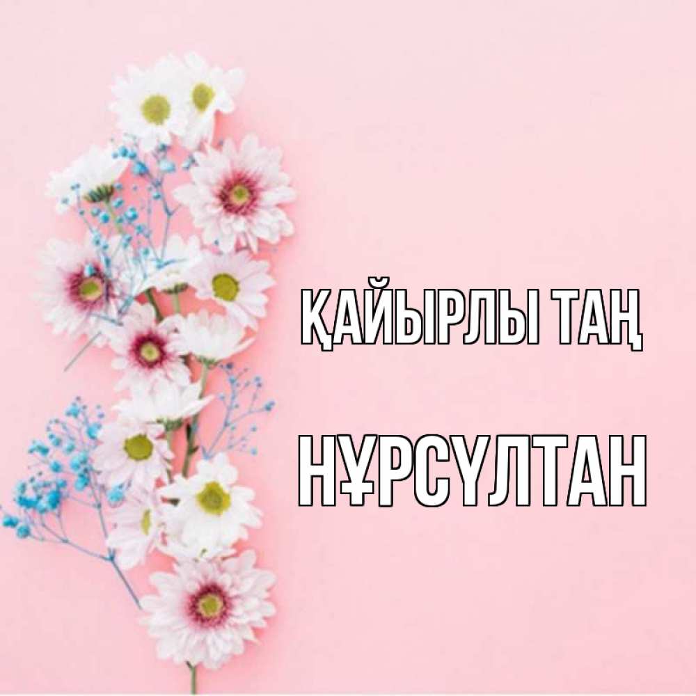 Күн сайын ашық хат с именем, НҰРСҮЛТАН Қайырлы таң цветы с подписью Онлайн тегін жүктеп алу тілектері бар керемет карта 