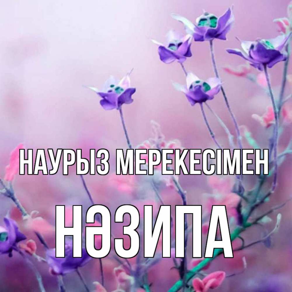 Күн сайын ашық хат с именем, НӘЗИПА Наурыз мерекесімен международный женский день 2 Онлайн тегін жүктеп алу тілектері бар керемет карта 