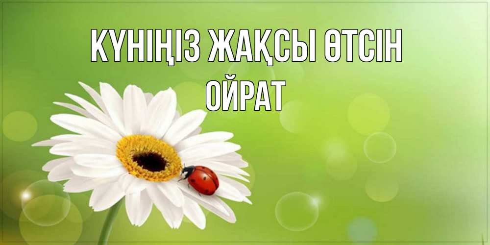 Күн сайын ашық хат с именем, ОЙРАТ Күніңіз жақсы өтсін зеленый фон и ромашка Онлайн тегін жүктеп алу тілектері бар керемет карта 