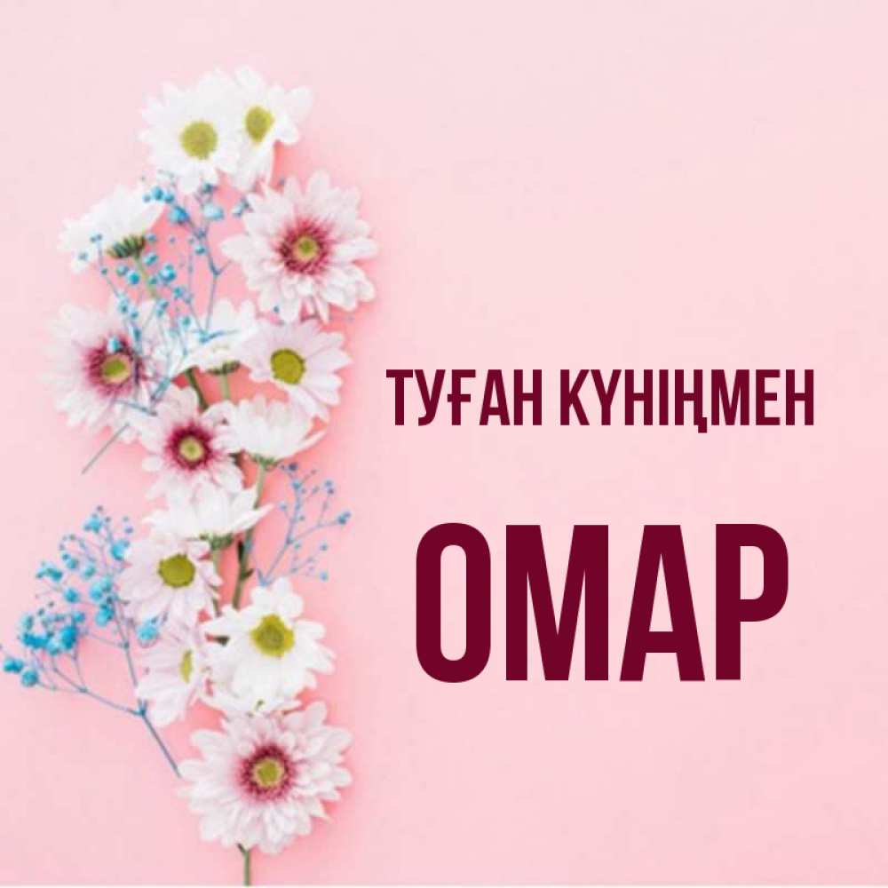 Күн сайын ашық хат с именем, ОМАР Туған күніңмен Родная моя с днем рождения тебя картинка с цветами белыми и голубыми Онлайн тегін жүктеп алу тілектері бар керемет карта 