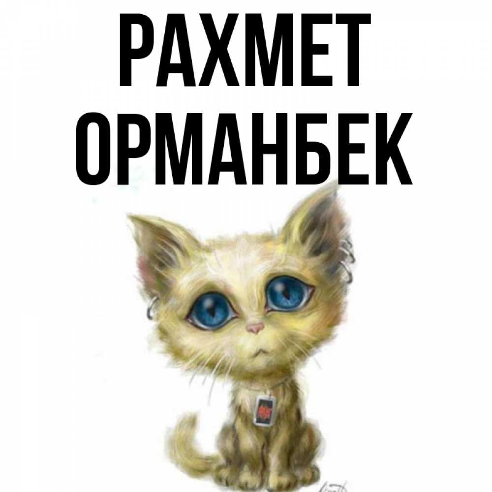 Күн сайын ашық хат с именем, ОРМАНБЕК рахмет рисованный кот благодарит вас Онлайн тегін жүктеп алу тілектері бар керемет карта 