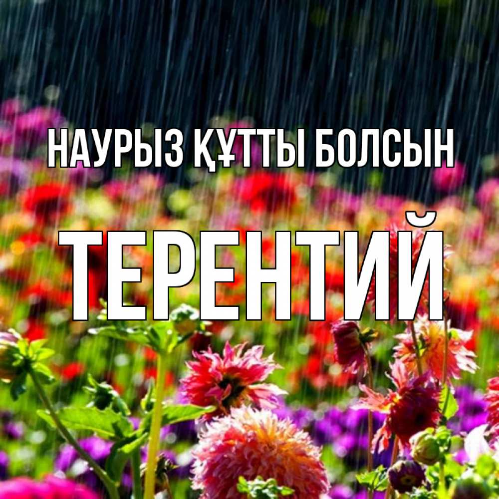 Күн сайын ашық хат с именем, Терентий Наурыз құтты болсын цветы под дождиком к наурызу Онлайн тегін жүктеп алу тілектері бар керемет карта 