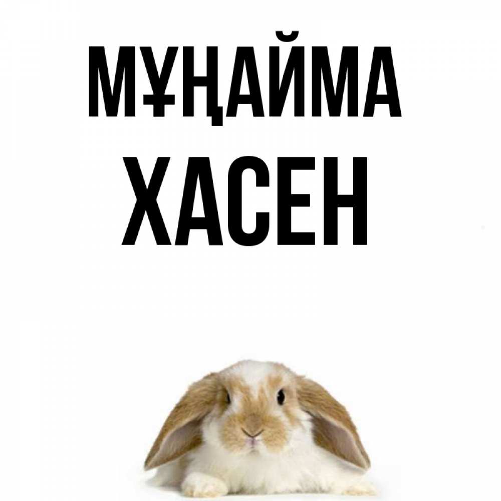 Күн сайын ашық хат с именем, ХАСЕН Мұңайма коричнево белый заяц с большими ушками Онлайн тегін жүктеп алу тілектері бар керемет карта 