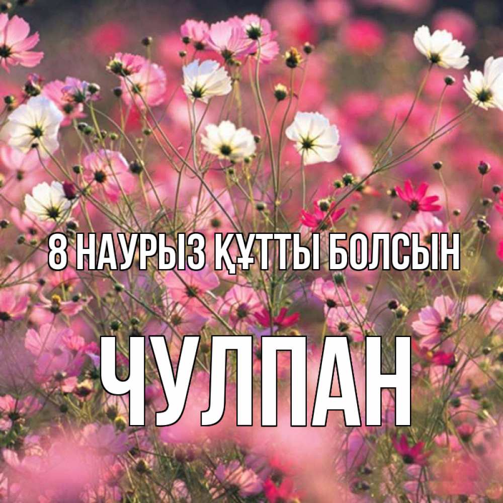 Күн сайын ашық хат с именем, Чулпан 8 наурыз құтты болсын красиво 1 Онлайн тегін жүктеп алу тілектері бар керемет карта 