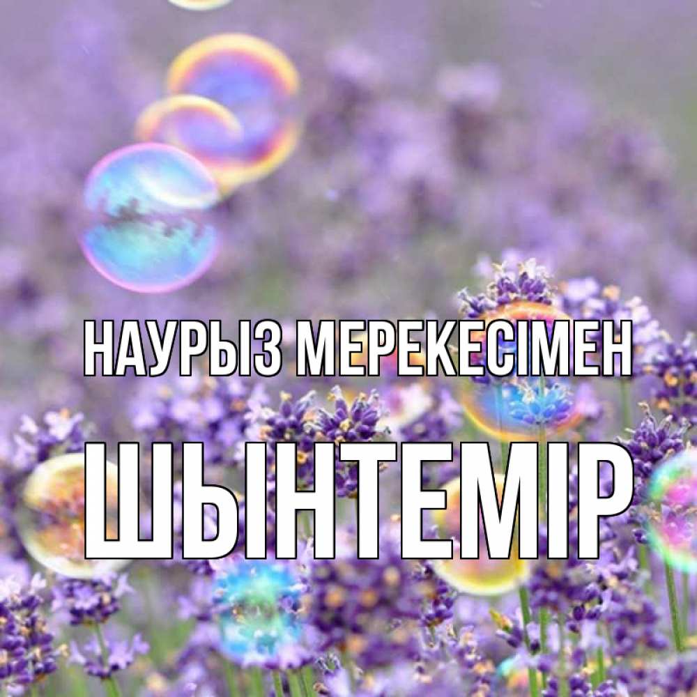 Күн сайын ашық хат с именем, ШЫНТЕМІР Наурыз мерекесімен цветы Онлайн тегін жүктеп алу тілектері бар керемет карта 