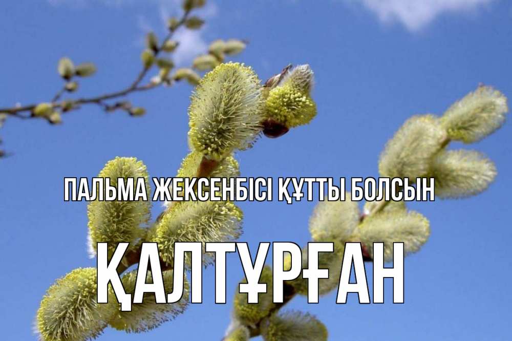 Күн сайын ашық хат с именем, ҚАЛТҰРҒАН Пальма жексенбісі құтты болсын верба Онлайн тегін жүктеп алу тілектері бар керемет карта 