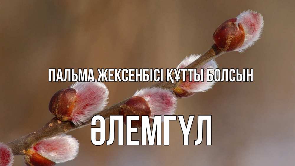 Күн сайын ашық хат с именем, ӘЛЕМГҮЛ Пальма жексенбісі құтты болсын верба Онлайн тегін жүктеп алу тілектері бар керемет карта 