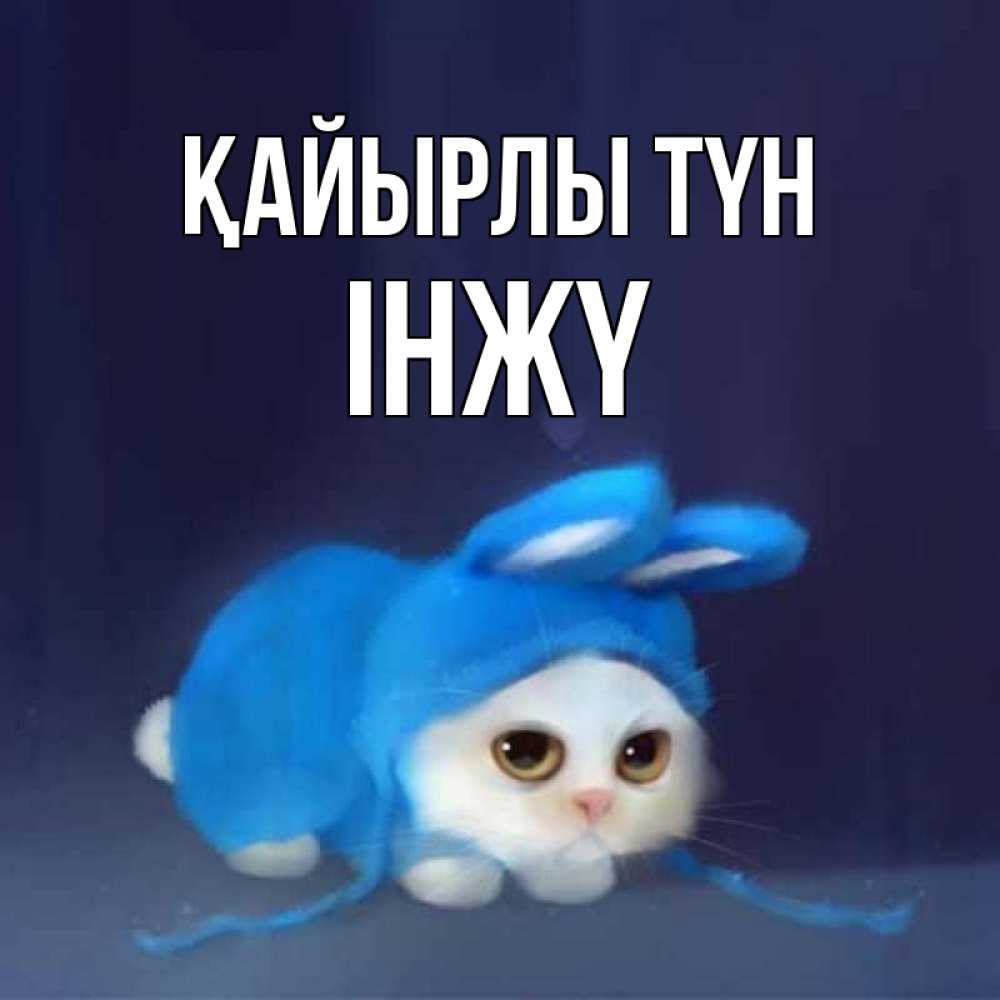 Күн сайын ашық хат с именем, ІНЖҮ Қайырлы түн кот в голубом костюме кролика с ушками Онлайн тегін жүктеп алу тілектері бар керемет карта 
