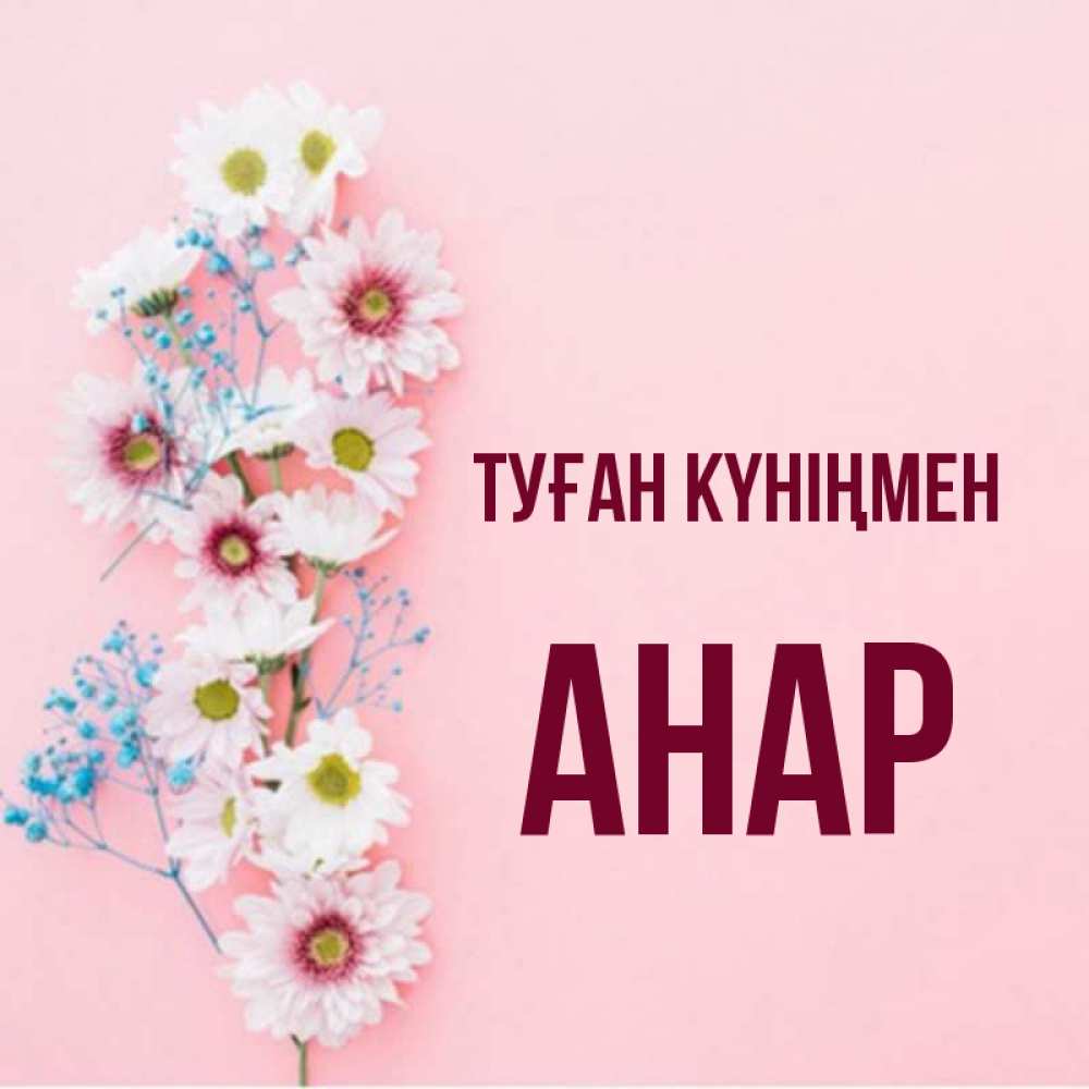 Күн сайын ашық хат с именем, АНАР Туған күніңмен Родная моя с днем рождения тебя картинка с цветами белыми и голубыми Онлайн тегін жүктеп алу тілектері бар керемет карта 