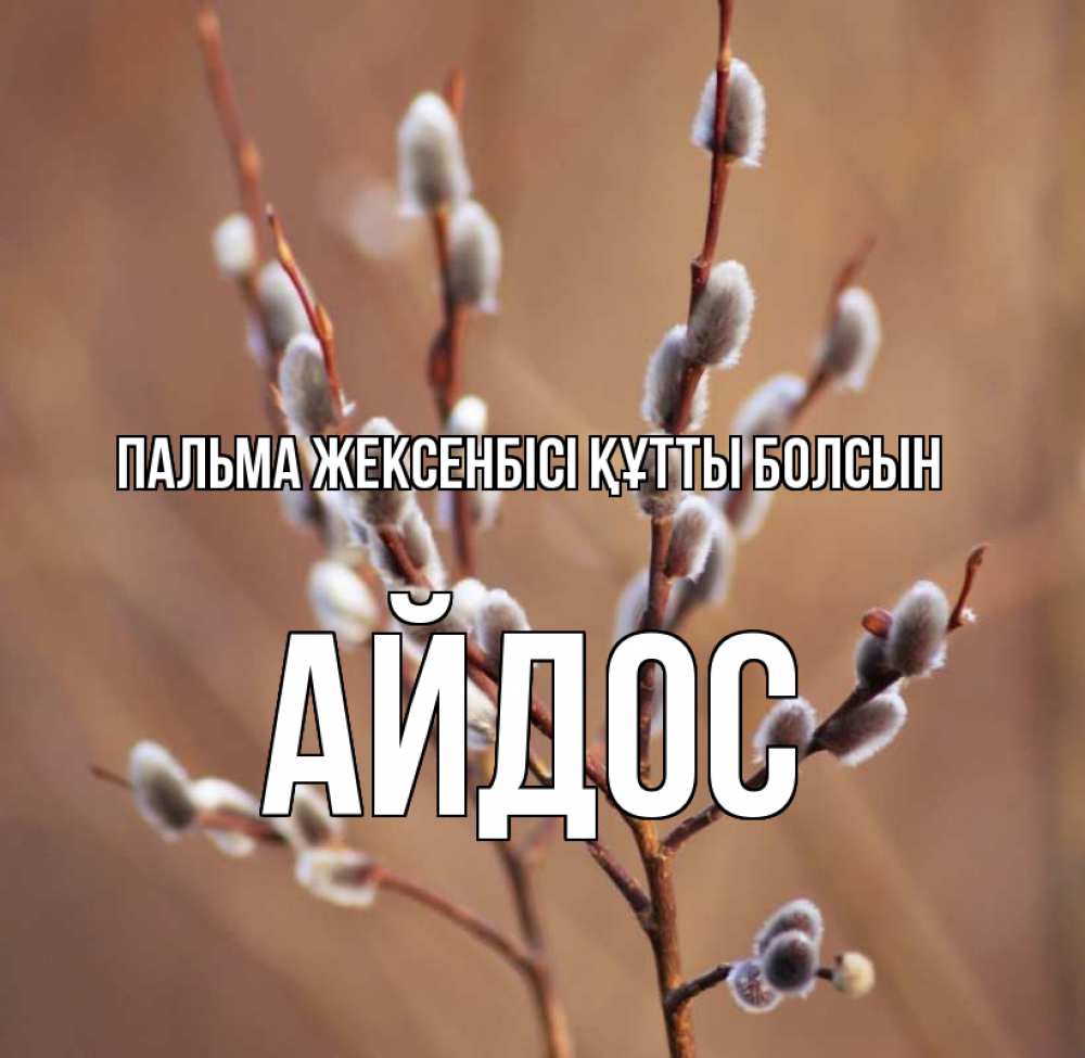 Күн сайын ашық хат с именем, Айдос Пальма жексенбісі құтты болсын верба Онлайн тегін жүктеп алу тілектері бар керемет карта 