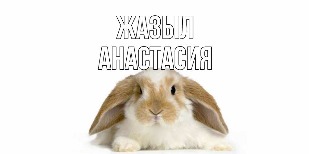 Күн сайын ашық хат с именем, Анастасия Жазыл вислоухий кролик белого и коричневого цвета Онлайн тегін жүктеп алу тілектері бар керемет карта 