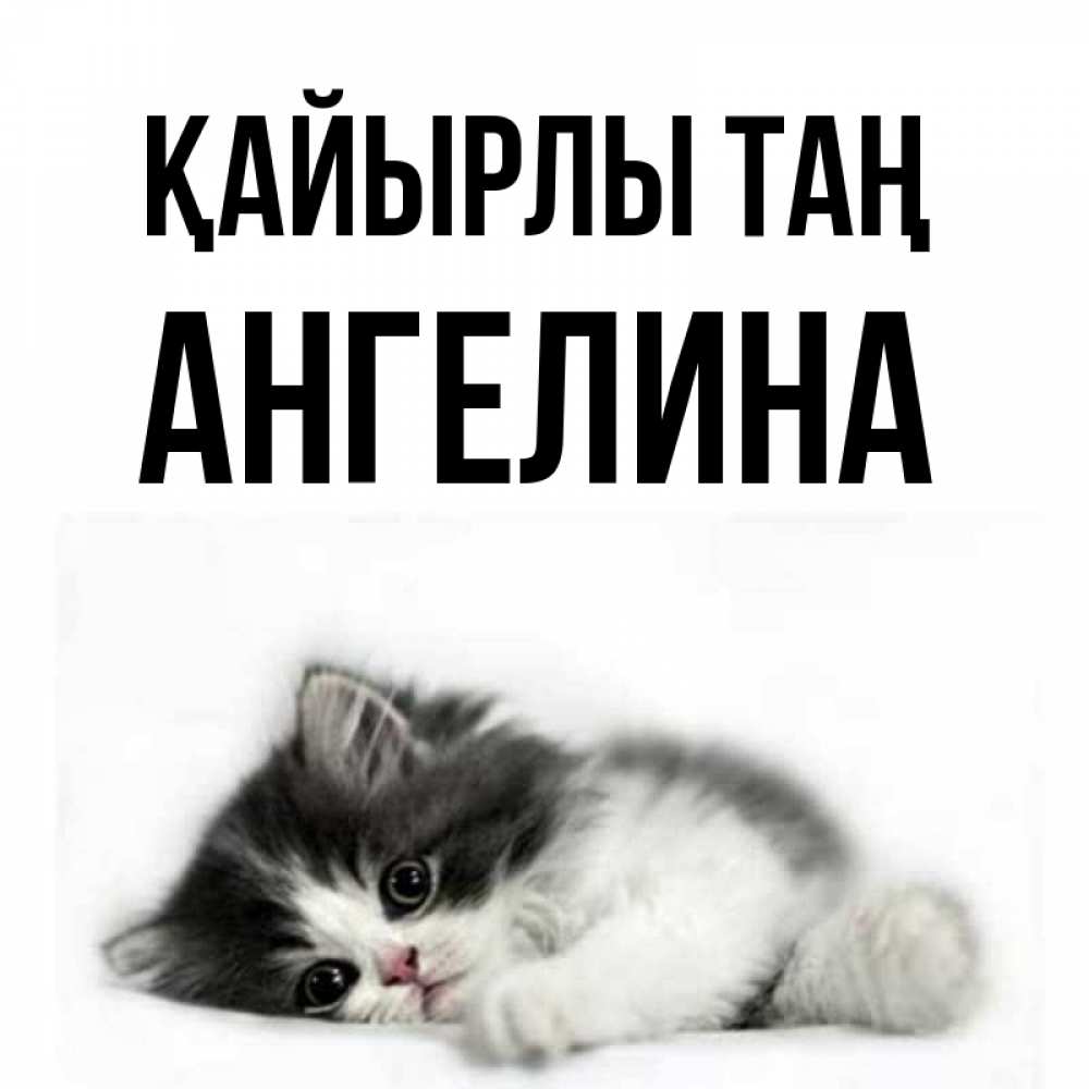 Күн сайын ашық хат с именем, Ангелина Қайырлы таң кот лапки Онлайн тегін жүктеп алу тілектері бар керемет карта 