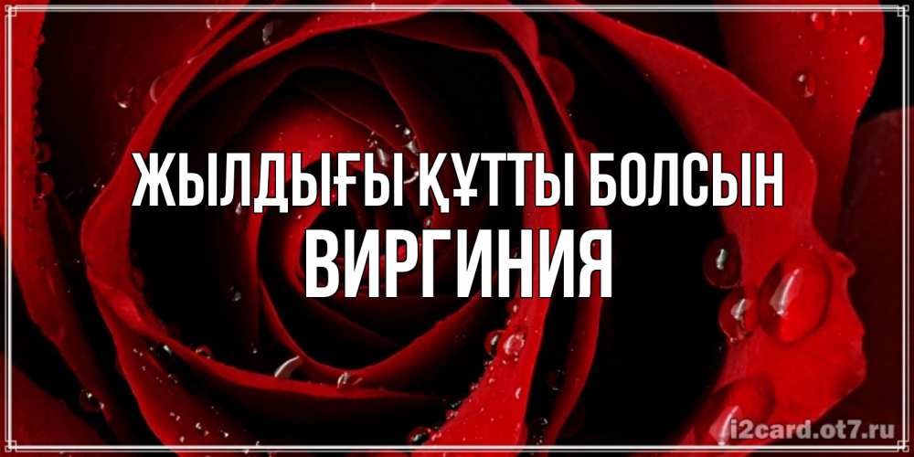 Күн сайын ашық хат с именем, Виргиния Жылдығы құтты болсын крупная бордовая роза Онлайн тегін жүктеп алу тілектері бар керемет карта 