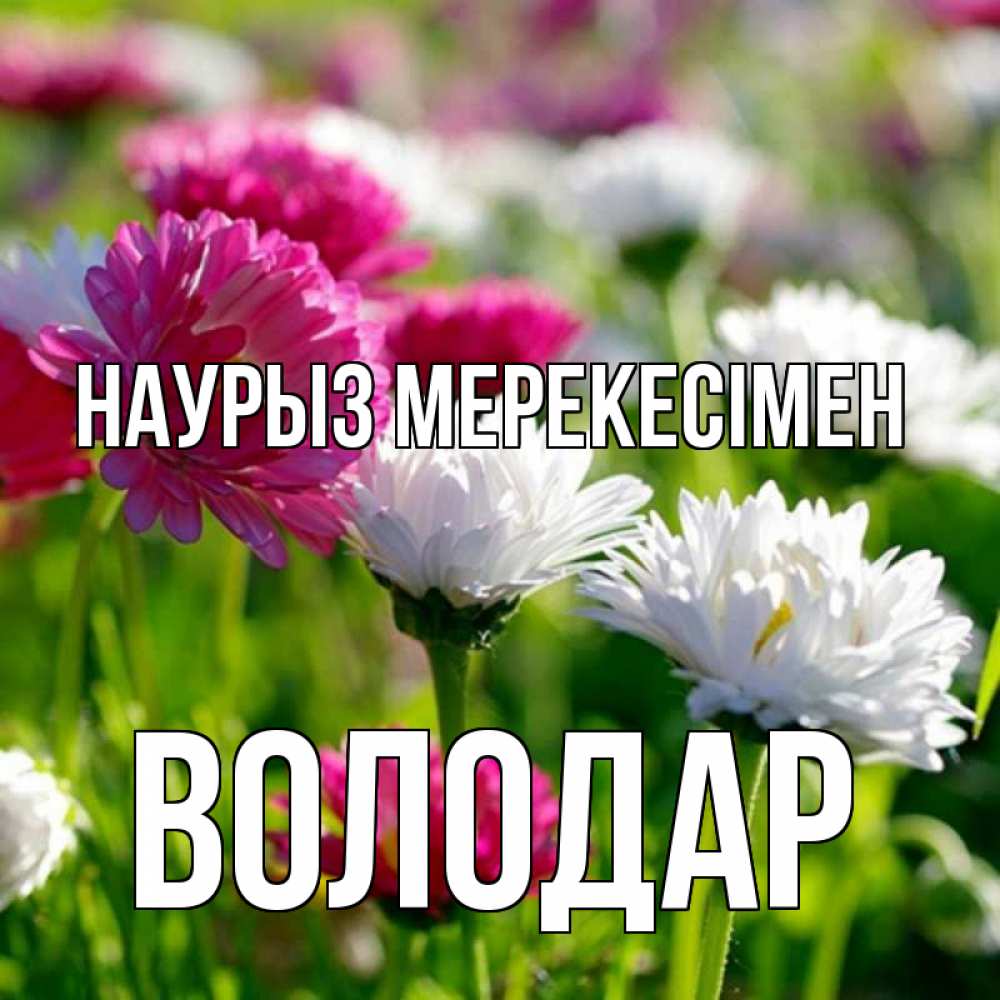 Күн сайын ашық хат с именем, Володар Наурыз мерекесімен праздник весны наурыз красота Онлайн тегін жүктеп алу тілектері бар керемет карта 