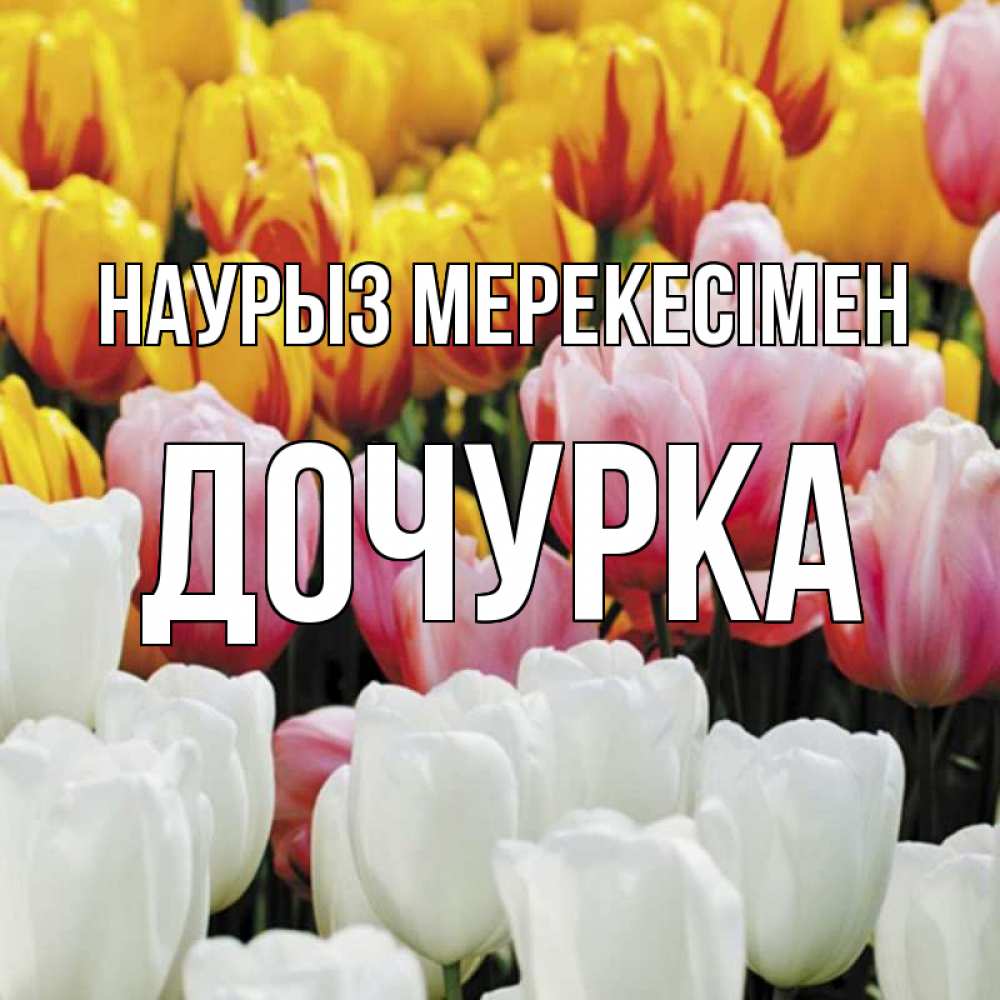 Күн сайын ашық хат с именем, Дочурка Наурыз мерекесімен разноцветные цветы Онлайн тегін жүктеп алу тілектері бар керемет карта 