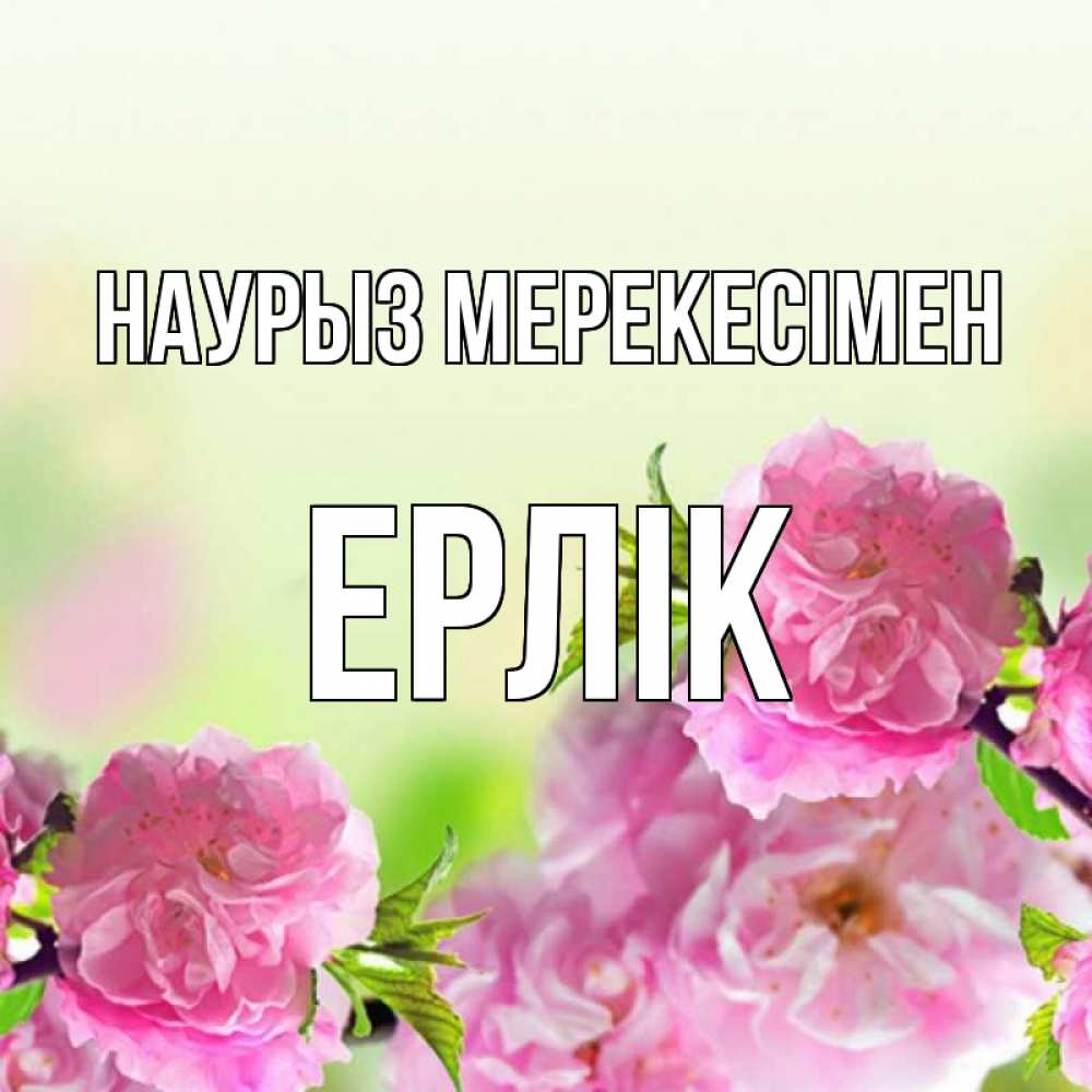 Күн сайын ашық хат с именем, Ерлік Наурыз мерекесімен цветы Онлайн тегін жүктеп алу тілектері бар керемет карта 