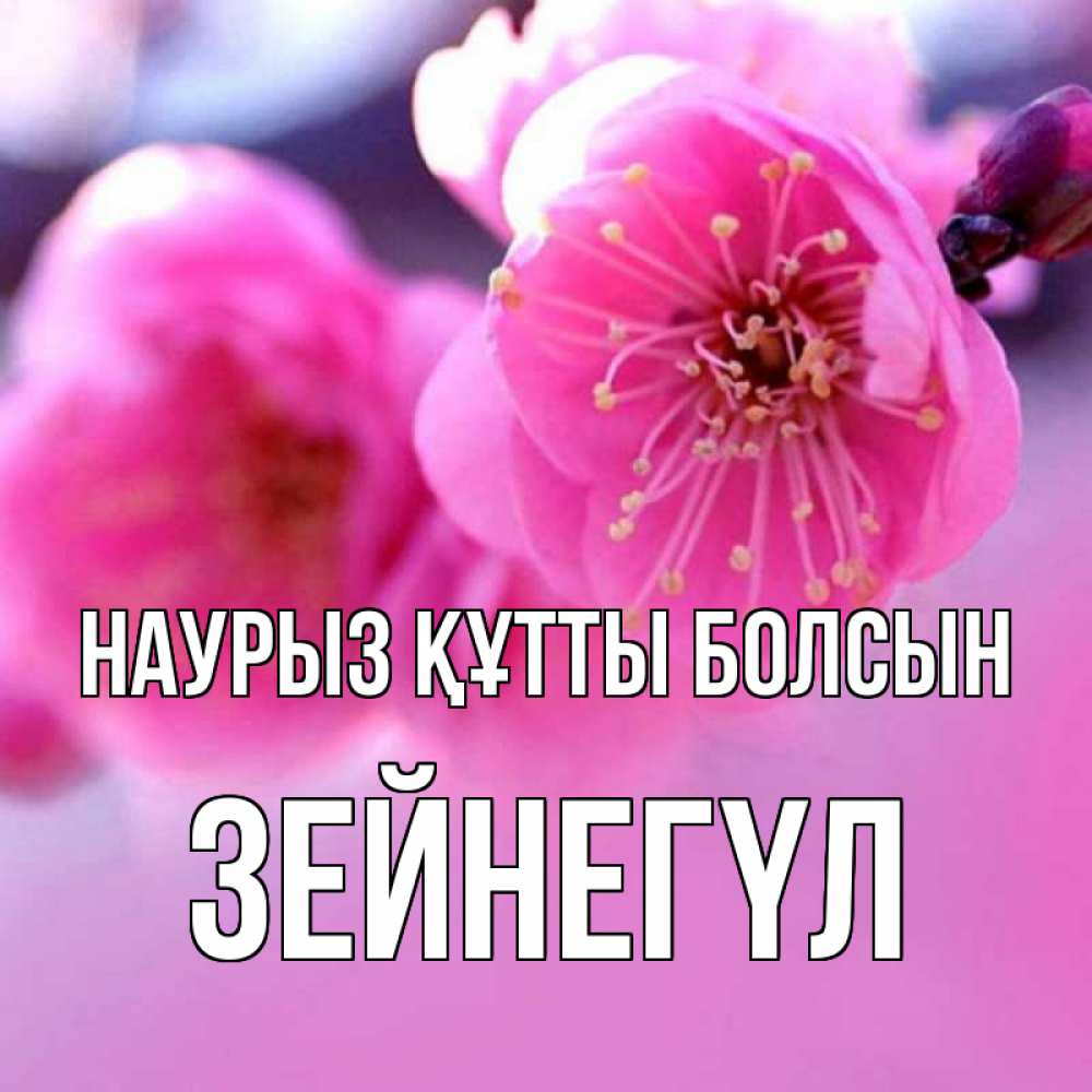 Күн сайын ашық хат с именем, ЗЕЙНЕГҮЛ Наурыз құтты болсын наурыз мейрам Онлайн тегін жүктеп алу тілектері бар керемет карта 