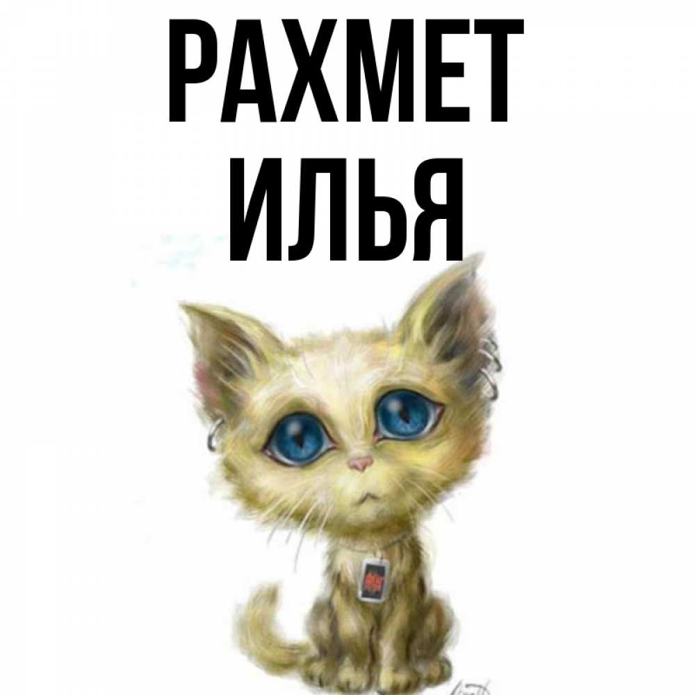 Күн сайын ашық хат с именем, Илья рахмет рисованный кот благодарит вас Онлайн тегін жүктеп алу тілектері бар керемет карта 
