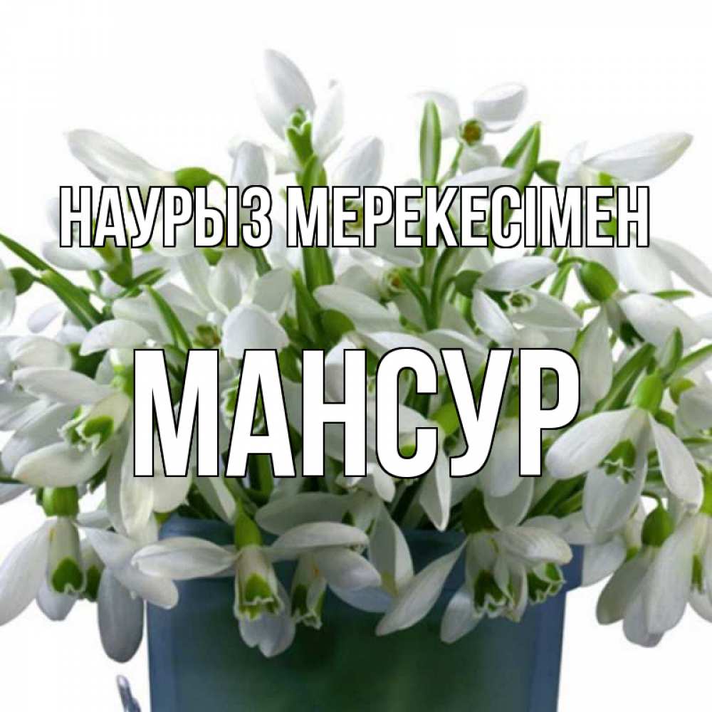 Күн сайын ашық хат с именем, Мансур Наурыз мерекесімен цветы к наурызу новый год в Казахстане Онлайн тегін жүктеп алу тілектері бар керемет карта 