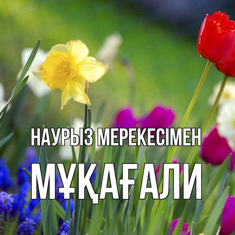 Күн сайын ашық хат с именем, МҰҚАҒАЛИ Наурыз мерекесімен праздник весны наурыз 3 Онлайн тегін жүктеп алу тілектері бар керемет карта 