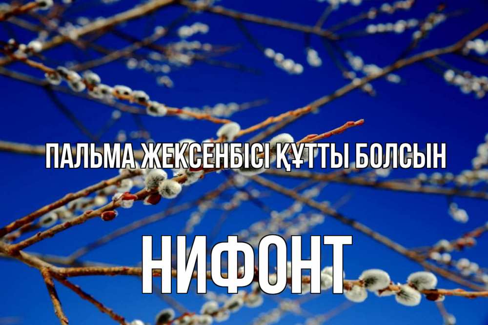 Күн сайын ашық хат с именем, Нифонт Пальма жексенбісі құтты болсын верба Онлайн тегін жүктеп алу тілектері бар керемет карта 