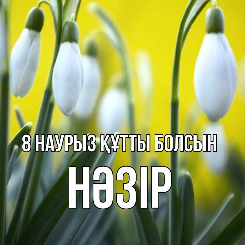 Күн сайын ашық хат с именем, НӘЗІР 8 наурыз құтты болсын весенние цветы Онлайн тегін жүктеп алу тілектері бар керемет карта 