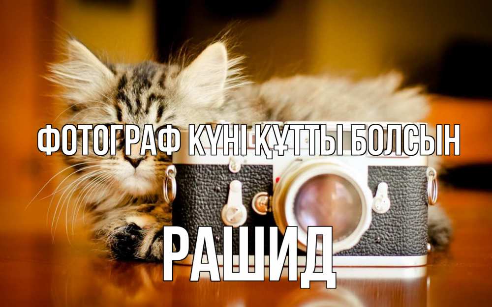 Күн сайын ашық хат с именем, Рашид Фотограф күні құтты болсын с днем фотографа Онлайн тегін жүктеп алу тілектері бар керемет карта 