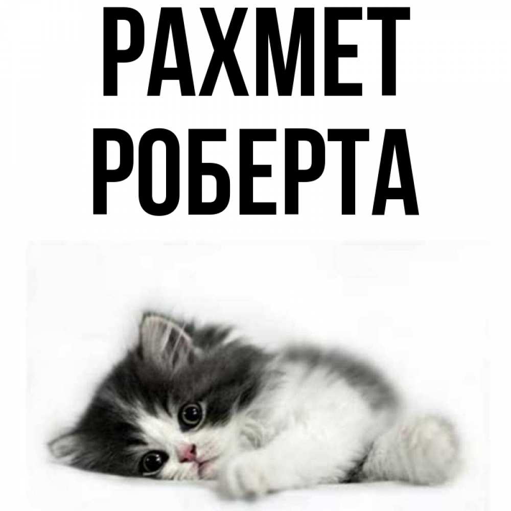 Күн сайын ашық хат с именем, Роберта рахмет черный и белый кот Онлайн тегін жүктеп алу тілектері бар керемет карта 