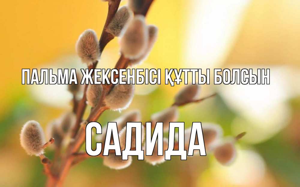 Күн сайын ашық хат с именем, САДИДА Пальма жексенбісі құтты болсын верба Онлайн тегін жүктеп алу тілектері бар керемет карта 