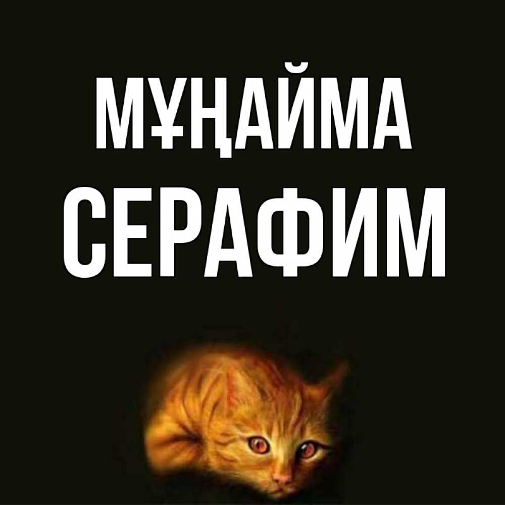 Күн сайын ашық хат с именем, Серафим Мұңайма лежащий кот в темноте Онлайн тегін жүктеп алу тілектері бар керемет карта 