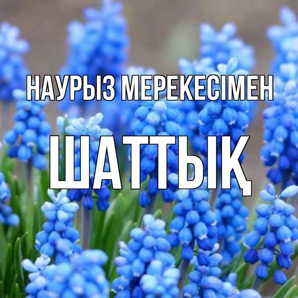 Күн сайын ашық хат с именем, ШАТТЫҚ Наурыз мерекесімен Поздравительная открытка для женщин с цветами на праздничную дату Онлайн тегін жүктеп алу тілектері бар керемет карта 
