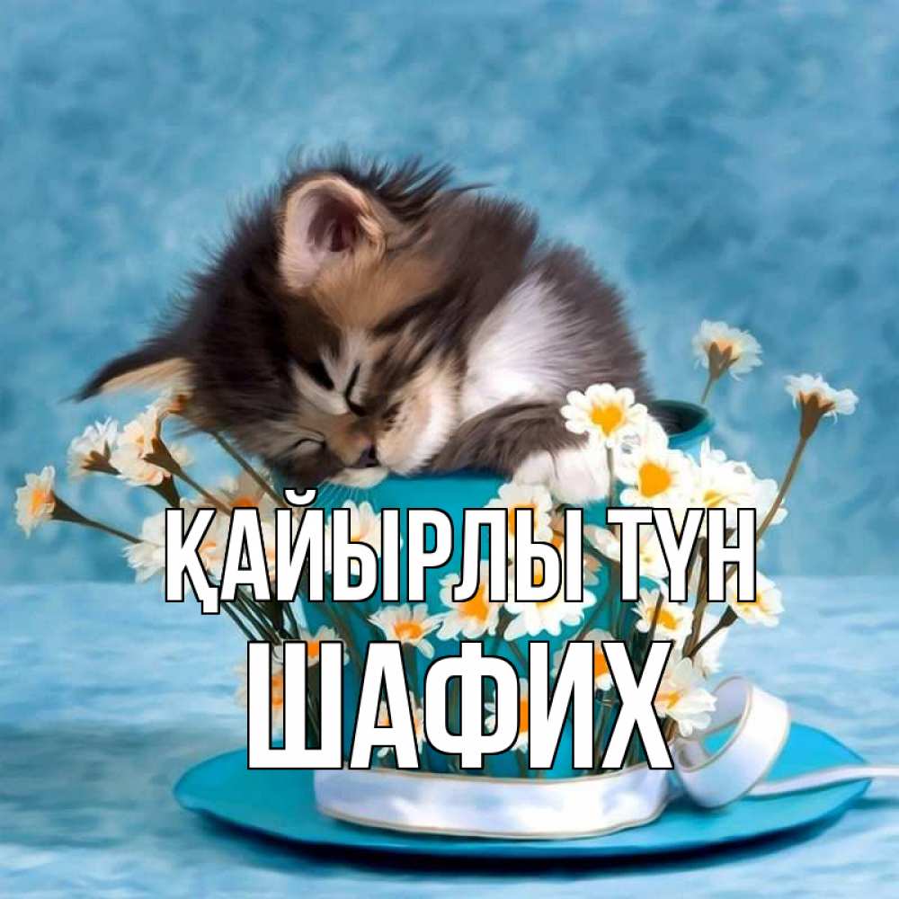 Күн сайын ашық хат с именем, ШАФИХ Қайырлы түн котенок спит в кружке с блюдцем Онлайн тегін жүктеп алу тілектері бар керемет карта 