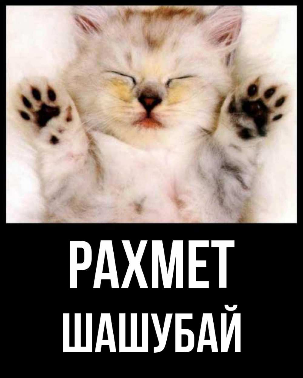 Күн сайын ашық хат с именем, ШАШУБАЙ рахмет маленький котенок Онлайн тегін жүктеп алу тілектері бар керемет карта 
