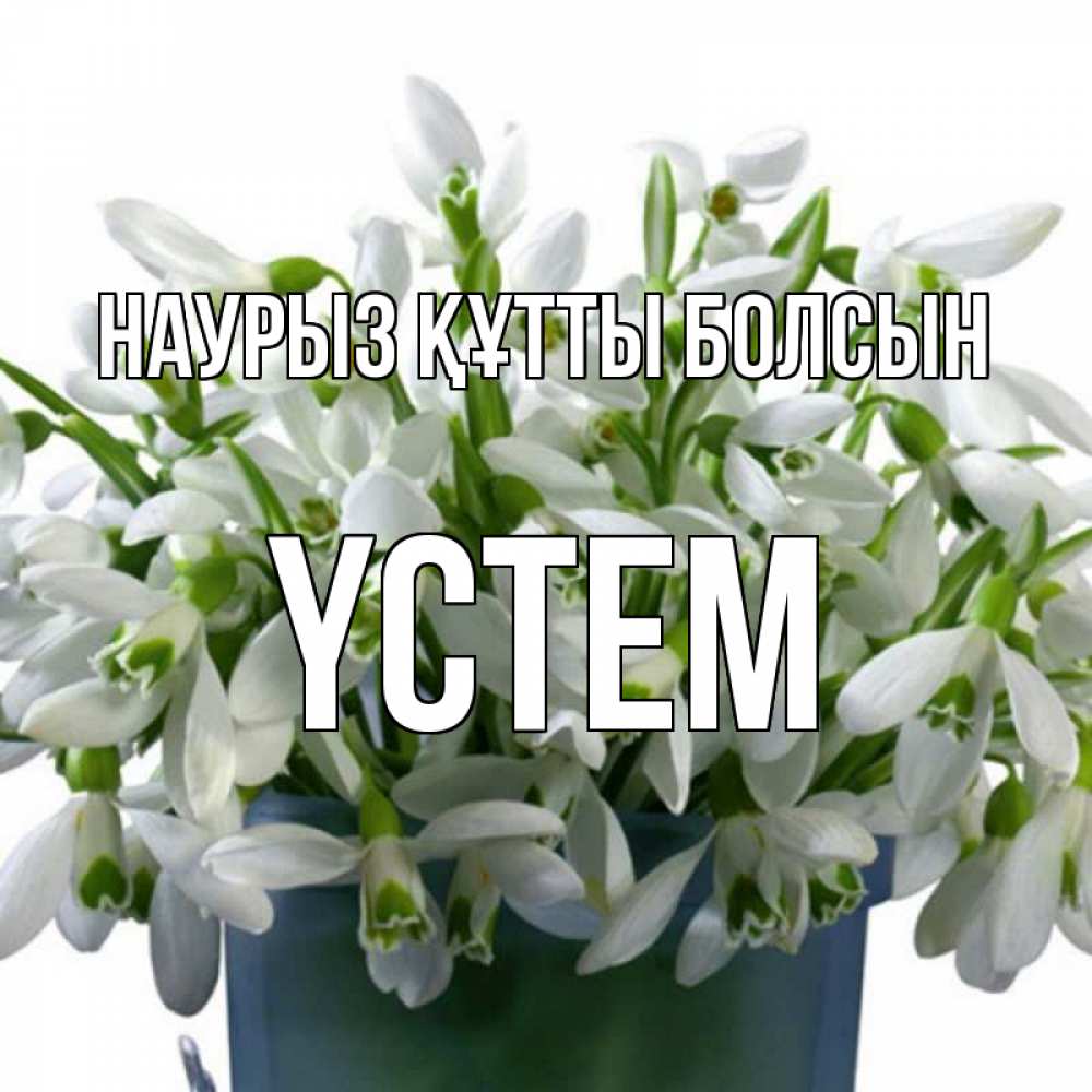 Күн сайын ашық хат с именем, ҮСТЕМ Наурыз құтты болсын цветы к наурызу Онлайн тегін жүктеп алу тілектері бар керемет карта 