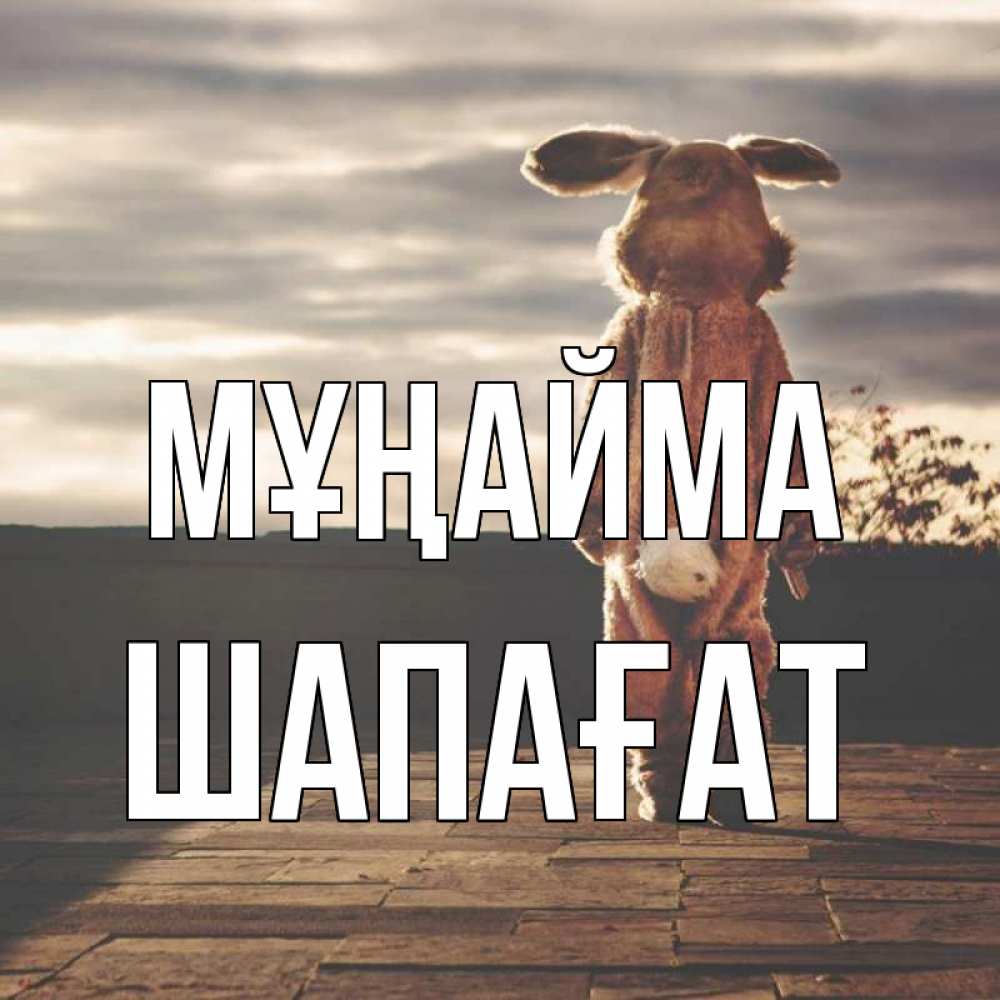 Күн сайын ашық хат с именем, ШАПАҒАТ Мұңайма со спины Онлайн тегін жүктеп алу тілектері бар керемет карта 