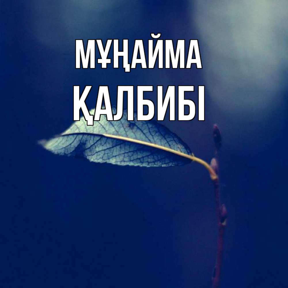 Күн сайын ашық хат с именем, ҚАЛБИБІ Мұңайма растение Онлайн тегін жүктеп алу тілектері бар керемет карта 