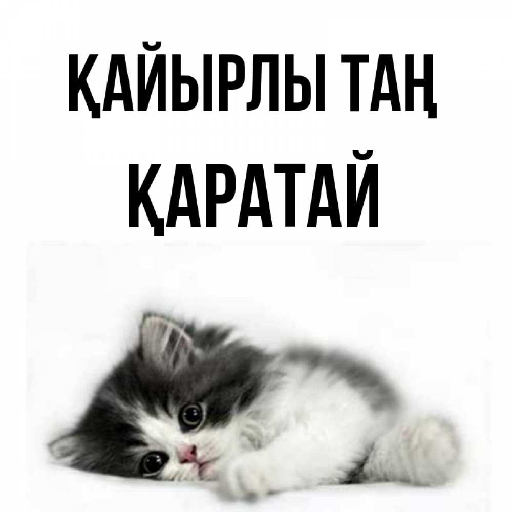 Күн сайын ашық хат с именем, Қаратай Қайырлы таң кот лапки Онлайн тегін жүктеп алу тілектері бар керемет карта 