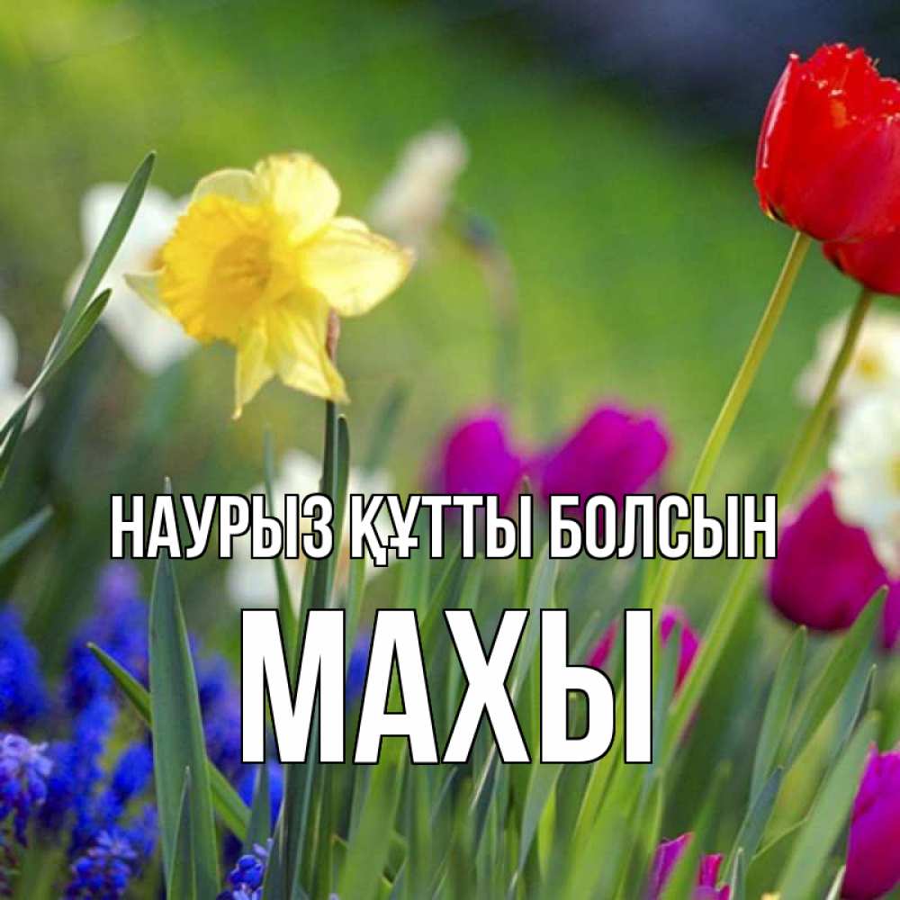 Күн сайын ашық хат с именем, МАХЫ Наурыз құтты болсын наурыз  3 открытки Онлайн тегін жүктеп алу тілектері бар керемет карта 