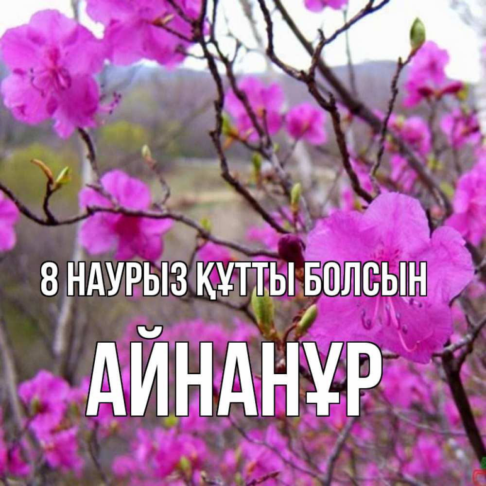 Күн сайын ашық хат с именем, Айнанұр 8 наурыз құтты болсын международный женский день Онлайн тегін жүктеп алу тілектері бар керемет карта 