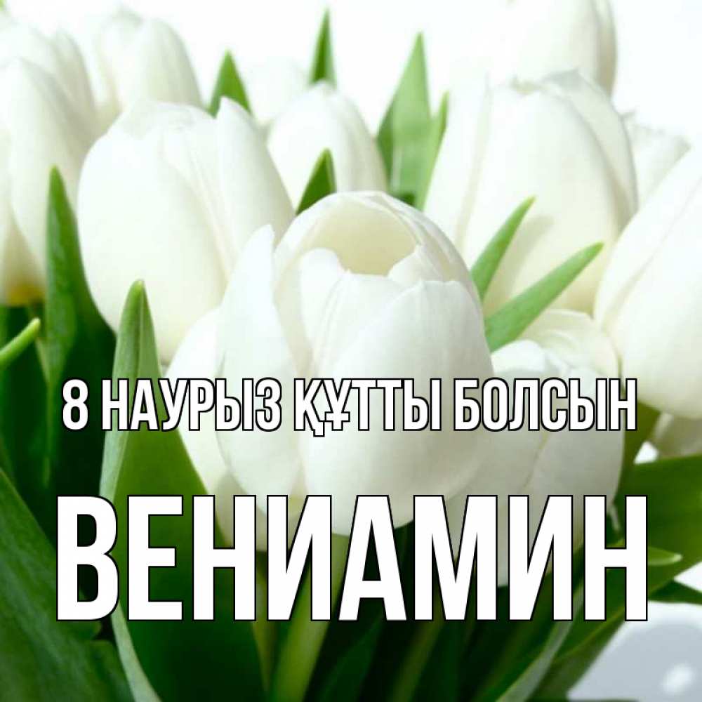 Күн сайын ашық хат с именем, Вениамин 8 наурыз құтты болсын цветы Онлайн тегін жүктеп алу тілектері бар керемет карта 
