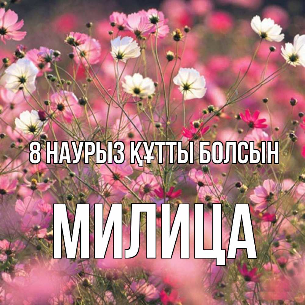 Күн сайын ашық хат с именем, Милица 8 наурыз құтты болсын красиво 1 Онлайн тегін жүктеп алу тілектері бар керемет карта 